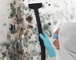 Mold Odor Removal Services in Mechanicsburg, OH